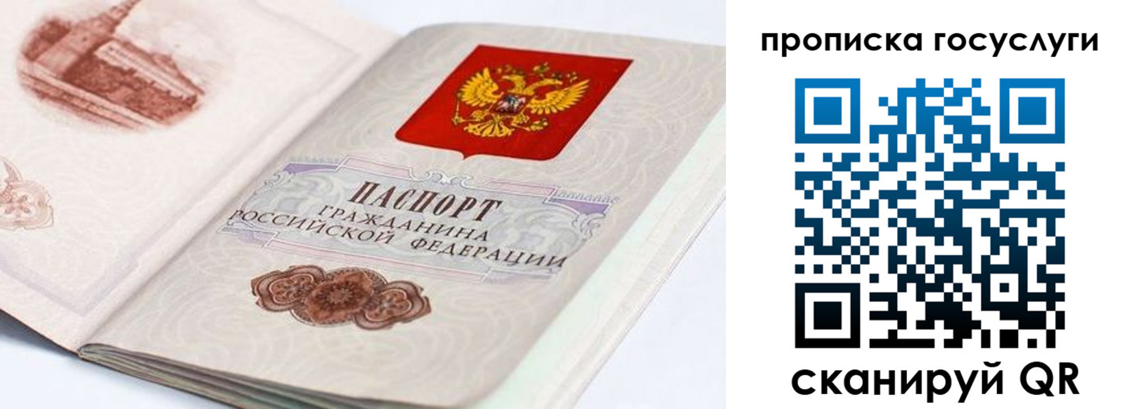 прописка регистрация в Раменском